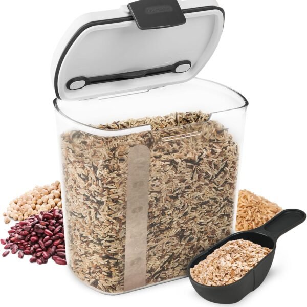 2.5 Qt Grain Storage Container with Hinged Lid and Scoop